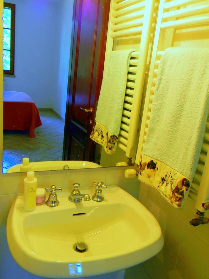 Appartamenti Avanella A 150 Mt Dalla Piscina 150 Mt From Swimming Pool Certaldo Εξωτερικό φωτογραφία